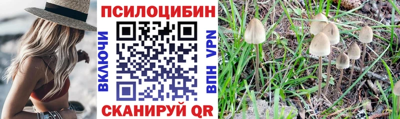 Псилоцибиновые грибы прущие грибы  Каневская 